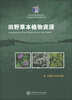 

田野草本植物资源