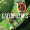 

Face to Face with Caterpillars