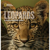 

Face to Face with Leopards