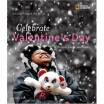 

Celebrate Valentines Day