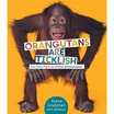 

Orangutans Are Ticklish Fun Facts from an Animal Photographer