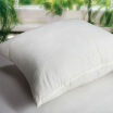 Joy Collection Bo Yang Home Textiles Beyond Bed Furniture High Elastic Pressure Cushion Core 65 65Cm joy collection kopen in de aanbieding Joy Collection Bo Yang Home Textiles Beyond Bed Furniture High Elastic Pressure Cushion Core 65 65Cm joy collection kopen in de aanbieding