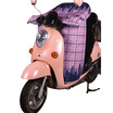 Joy Collection Shuoji Electric Car Windshield Is Covered By Four Seasons Battery By Sunshade Motorcycle By Summer Autumn Spring Winter Waterproof Cold Leggings Waist joy collection kopen in de aanbieding Joy Collection Shuoji Electric Car Windshield Is Covered By Four Seasons Battery By Sunshade Motorcycle By Summer Autumn Spring Winter Waterproof Cold Leggings Waist joy collection kopen in de aanbieding