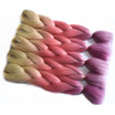1Pcspack Chorliss 24 Ombre Braiding Hair Crochet Braids Synthetic Extension 100Gpack chorliss kopen in de aanbieding 1Pcspack Chorliss 24 Ombre Braiding Hair Crochet Braids Synthetic Extension 100Gpack chorliss kopen in de aanbieding