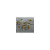 50Pcs Monolithic Capacitors 102 1000P 1Nf huismerk kopen in de aanbieding