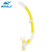 Benice Whale Brand Professional Scuba Diving Equipment Breathing Tube With 6 Colors Snorkel benice kopen in de aanbieding Benice Whale Brand Professional Scuba Diving Equipment Breathing Tube With 6 Colors Snorkel benice kopen in de aanbieding