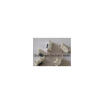 100Pcs 3X6X38Mm 3638Mm Smd Push Button Switch Mp3 Mp4 Mp5 Tablet Pc Phone huismerk kopen in de aanbieding 100Pcs 3X6X38Mm 3638Mm Smd Push Button Switch Mp3 Mp4 Mp5 Tablet Pc Phone huismerk kopen in de aanbieding