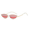 Likeu S Small Cat Eye Metal Sunglasses Women 2018 Fashion Sexy Sun Glasses For Summer Accessories Frame Candy Color likeu s kopen in de aanbieding Likeu S Small Cat Eye Metal Sunglasses Women 2018 Fashion Sexy Sun Glasses For Summer Accessories Frame Candy Color likeu s kopen in de aanbieding