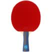 Pisces table tennis racket 3 star double-sided sponge anti-fast attack type horizontal shot 3A-C long handle
