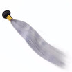 Namihair Wholesale Price High Quality Ombre Color 1Bgrey Brazilian Straight Hair Weave Bundles 100 Human Remy Extension nami kopen in de aanbieding Namihair Wholesale Price High Quality Ombre Color 1Bgrey Brazilian Straight Hair Weave Bundles 100 Human Remy Extension nami kopen in de aanbieding