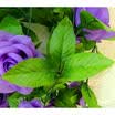 26M Flores de seda Guirnalda Artificial Vid Hiedra Casa Bodas para jardín Decoraciones US SELL