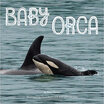 Baby Orca huismerk kopen in de aanbieding