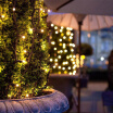Joy Collection Many Beautiful Memory Waterproof Led Lights Small Flashing Full Of Stars Christmas Day Room Home Decoration String Outdoor Light 10 Meters 100 Head With Tail Plug W joy collection kopen in de aanbieding Joy Collection Many Beautiful Memory Waterproof Led Lights Small Flashing Full Of Stars Christmas Day Room Home Decoration String Outdoor Light 10 Meters 100 Head With Tail Plug W joy collection kopen in de aanbieding