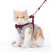 Joy Collection Wok Kitty Hoopet Cat Rope Trailing Traction Suit Chest Strap Pet Collar Xs joy collection kopen in de aanbieding Joy Collection Wok Kitty Hoopet Cat Rope Trailing Traction Suit Chest Strap Pet Collar Xs joy collection kopen in de aanbieding