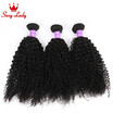 Sexy Lady Malaysian Curly Hair 3 Bundle Deals Kinky Virgin 7A Top Quality Weave Human sexy lady kopen in de aanbieding