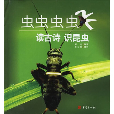 

虫虫虫虫飞：读古诗 识昆虫