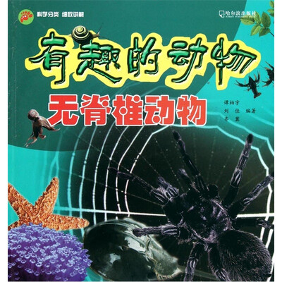 

有趣的动物：无脊椎动物