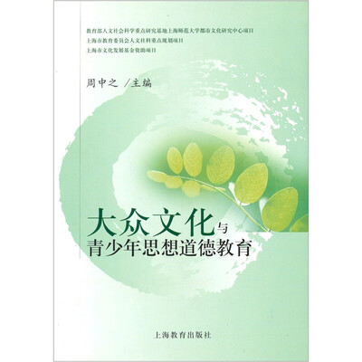 

大众文化与青少年思想道德教育