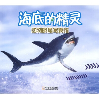 

动物明星写真馆：海底的精灵