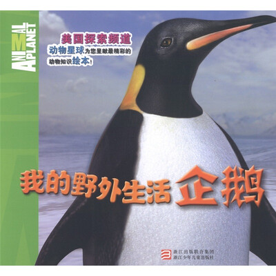 

我的野外生活：企鹅