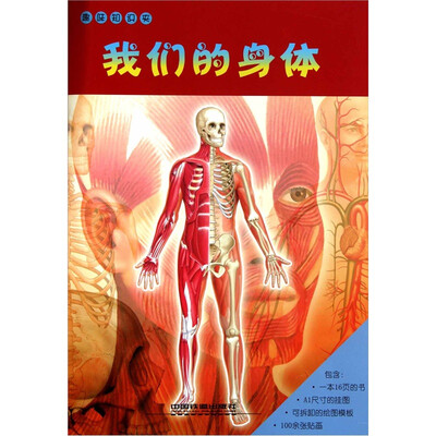 

趣味知识夹：我们的身体