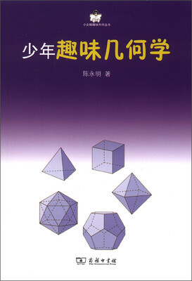 

小企鹅趣味科学丛书：少年趣味几何学