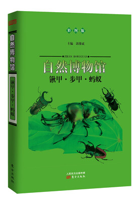 

自然博物馆：锹甲·步甲·蚂蚁（彩图版）