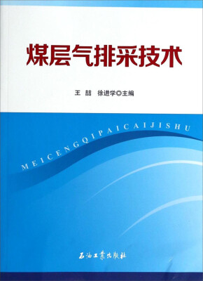 

煤层气排采技术