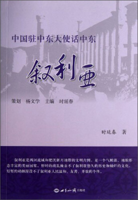 

中国驻中东大使话中东·叙利亚