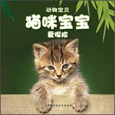 

猫咪宝宝爱探险