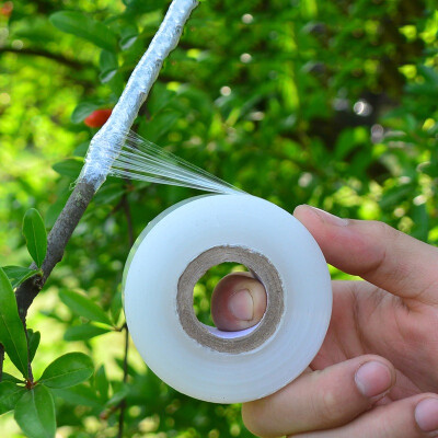 

1 Roll Grafting Tape Garden Tools Fruit Tree Secateurs Engraft Branch Gardening bind belt PVC tie Tape