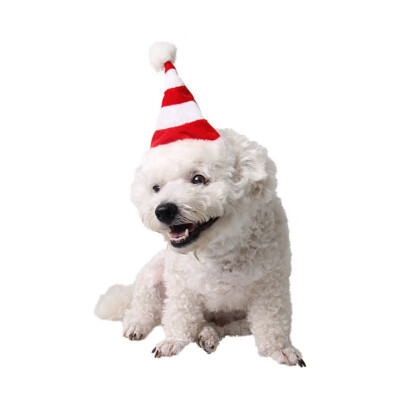 

Christmas Red And White Striped Dog Hat Ji Aberdeen Festival Dress Big Children Comfortable Dress Christmas Hat