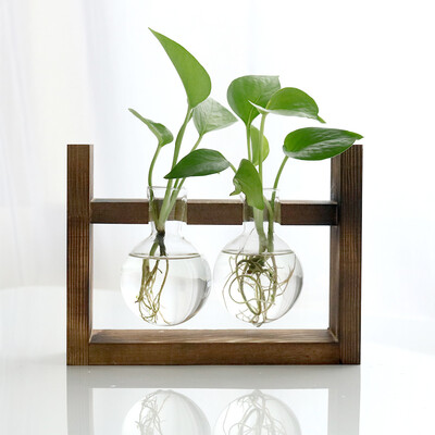 

Toponeto Creative Hydroponic Plant Transparent Vase Wooden Frame Coffee Shop Room Decor
