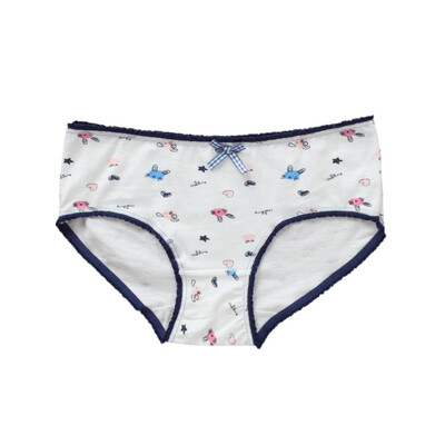 

9-20Years Teenage Briefs Cotton Soft Panties for Girls Puberty Girl Cute Underpanties Female Print Underwear
