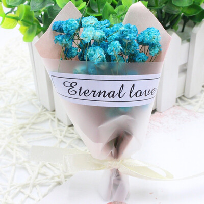 

Small fresh starry handmade dried flowers gifts shooting props Christmas holiday gift bouquet with hands ceremony