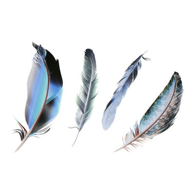 

2019 Feather Car Stickers Auot Products Car DIY Personalized Feathers Stickers Scratches Decorative Car Stickers