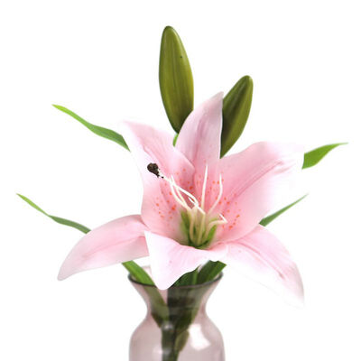 

Simulation Lily for Lady Gift Artificial Large Lily Romantic Flower Lily Branch for Home Shop Decor Fake Flower Bouquet Supply