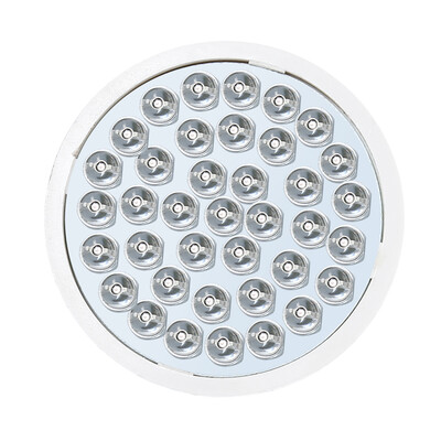 

E27 110V LED Grow Light for Hydroponics Vegetables&Flowering Plants