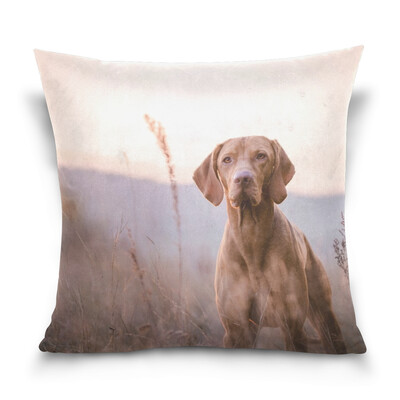 

ALAZA Throw Pillow Case Decorative Pillow Covers 16 X 16 inch Vizsla Picture Pattern Pillowcase