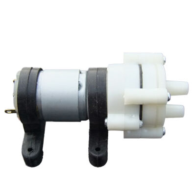 

DC6-12V R385 DC Diaphragm Pump Aquarium Fish Tank Water Cooled Water Air Diaphragm Pump Tools