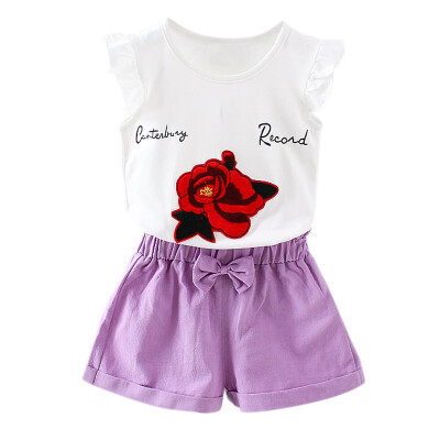 

2PCS Newly Summer 1-4T Hot Sale Baby Girls Casual Clothes Set Newborn Kids Printed Fashion Short Sleeve Suits