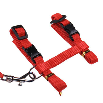 

3 Colors Nylon Cat Harness And Leash For Animals Adjustable Pet Traction Harness Belt Cat Kitten Halter Collar