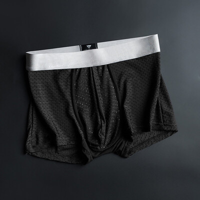 

Tailored Mens New Style Silver Lon Antibacterial Ice Silk Underwear Breathable Underwear