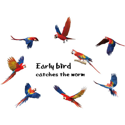 

Fashion PVC Maruoxuan 3D Animal Color Parrot Stickers Refrigerator Cabinets Corridor Sofa Bedroom TV Background Decoration Wall
