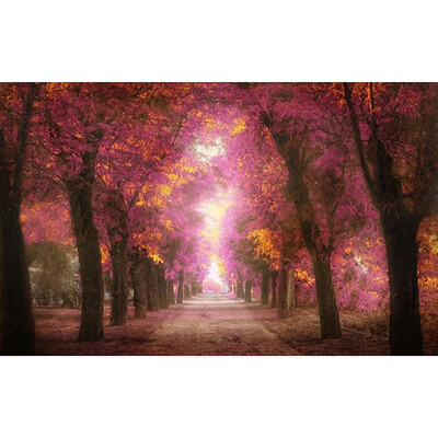 

Gobestart 5D Embroidery Paintings Rhinestone Pasted DIY Diamond Painting Cross Sti