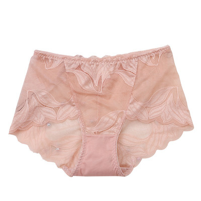 

Women Sexy Lace Underwear Floral Hollow Out Mid-Rise Perspective Underwear Seamless Brief