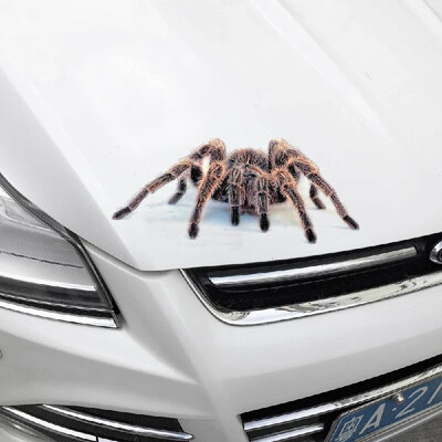 

New stereo car spider gecko animal car stickers simulation car tail stickers realistic modification stickers A21 red spider pair