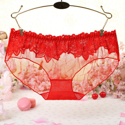 

Womens Sexy Lace Panties Seamless Breathable Panty Hollow Briefs Plus Size Girl Underwear New