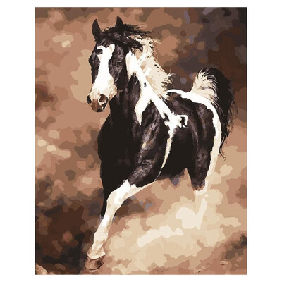 

DIY Diamond Painting Sets Different Shape Diamond Drawing Cross Stitch Wall Decorative Color Cat 30x25cm