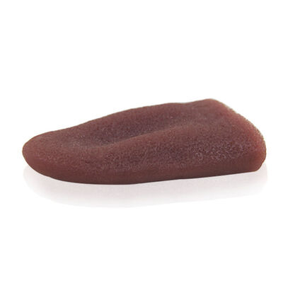 

Realistic Fake Tongue Gross Jokes Prank Magic Tricks Horrific Props Scary Halloween Toy
